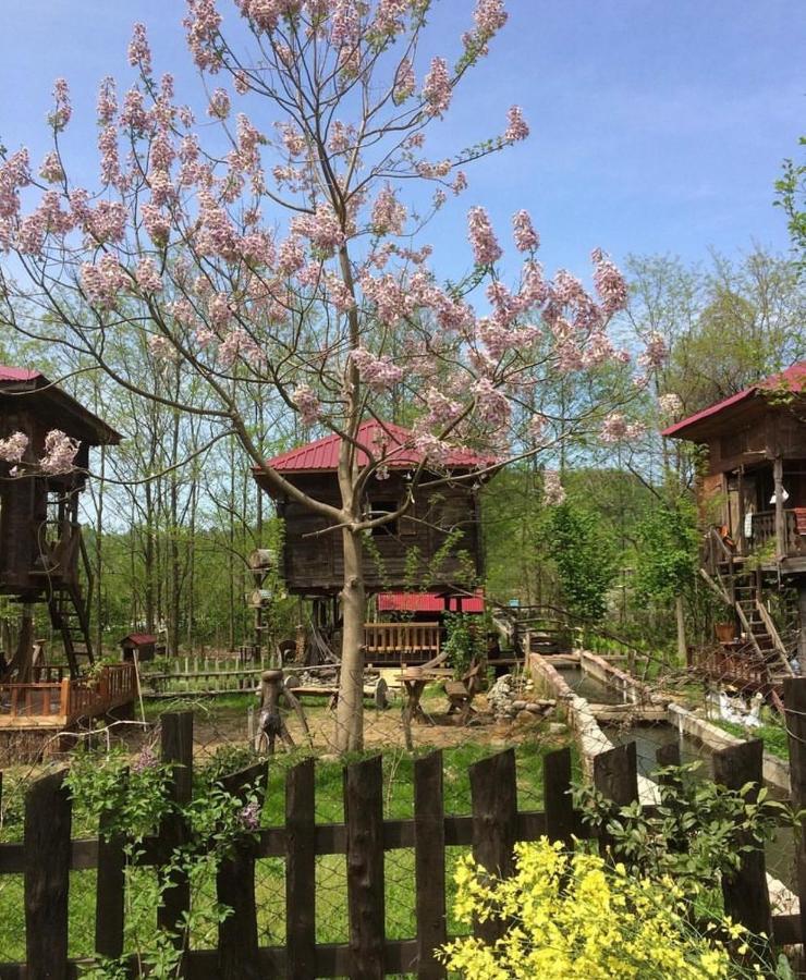 Zeni De Vore Serender & House Aparthotel Rize Luaran gambar