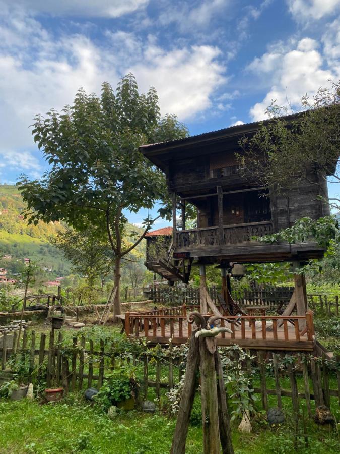 Zeni De Vore Serender & House Aparthotel Rize Luaran gambar